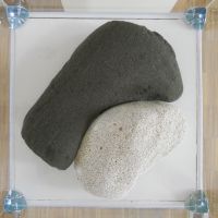 YinYang (Vorschaubild)